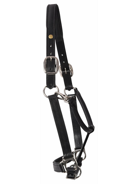 Henri de Rivel Pro Fancy Padded Rolled Throat Triple-Stitched Halter