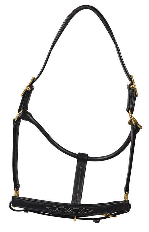 Henri de Rivel Pro Fancy Padded Rolled Throat Triple-Stitched Halter