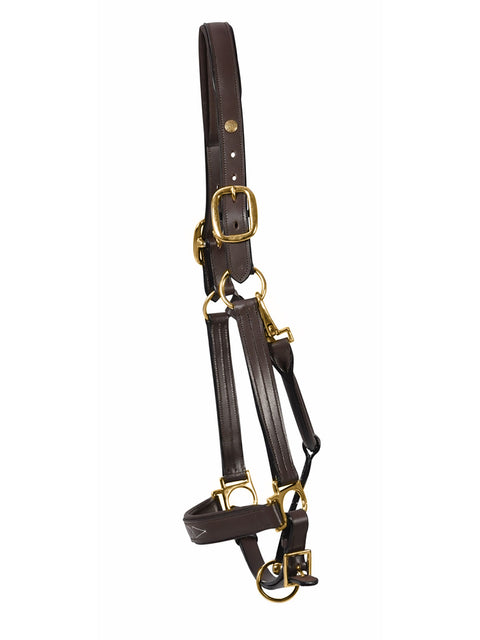 Henri de Rivel Pro Fancy Padded Rolled Throat Triple-Stitched Halter