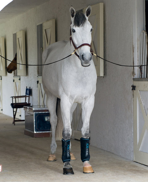 ICE-VIBE Boots
