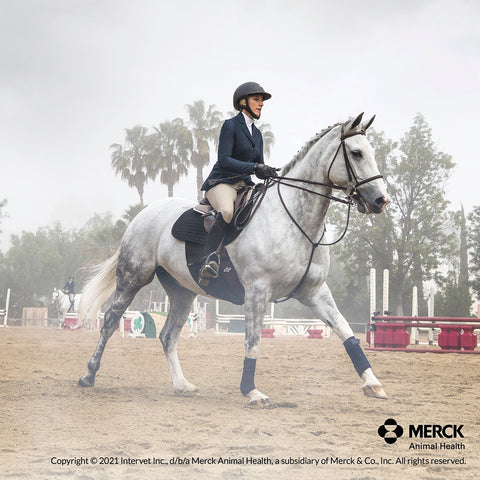 Panacur Paste Dewormer