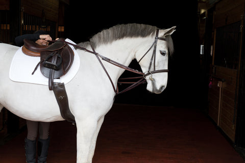 Tory Leather Company German Martingale Rein Set