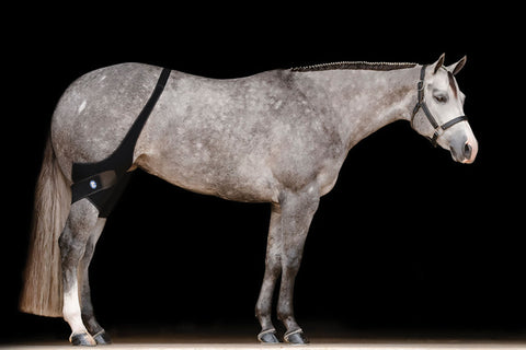 Ice Horse® Stifle Wraps