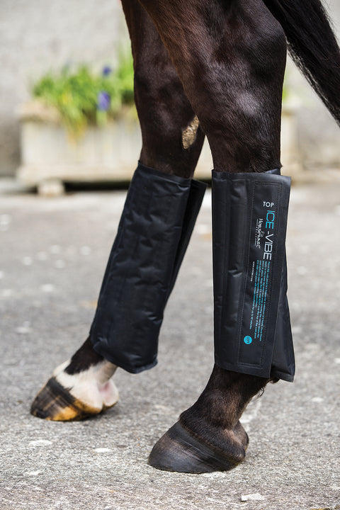 Ice Vibe Cold Pack-Standard