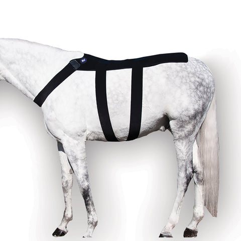 Ice Horse® Back Blanket