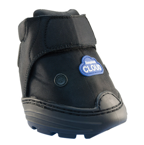 EasyBoot® Cloud