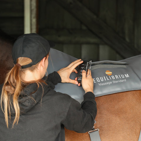 Equilibrium Therapy® Massage Pad (Standard Horse Size)