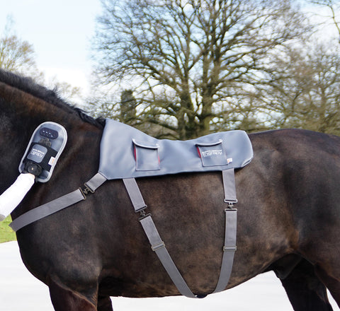 Equilibrium Therapy® Massage Pad (Standard Horse Size)