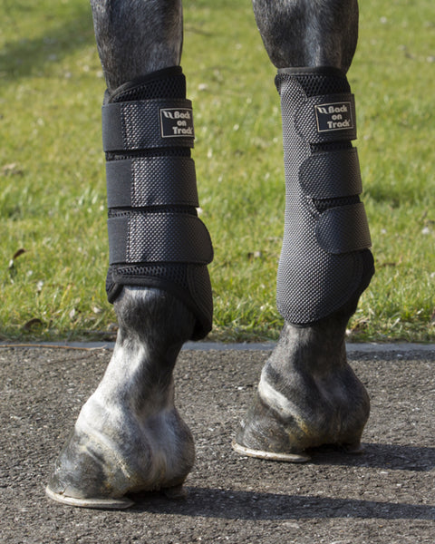 Back on Track® 3D Mesh Splint Boots