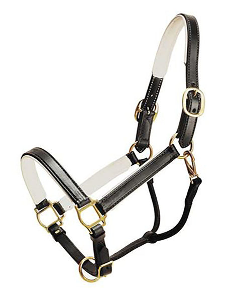 Tory Leather Company Padded Leather Halter