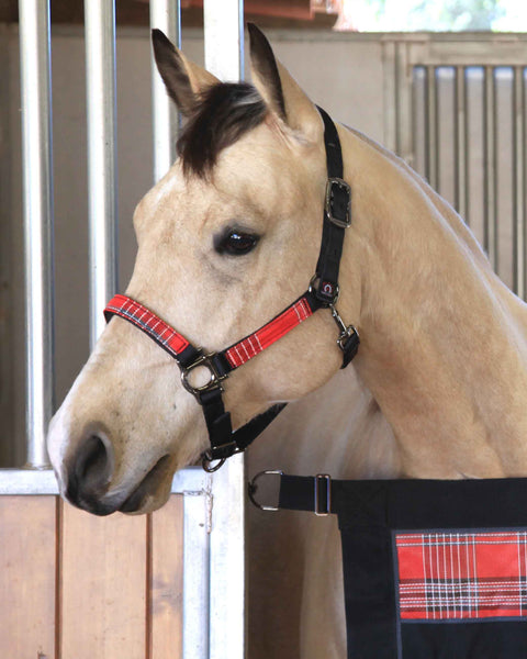 Kensington™ Premium Halter