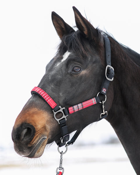 Kensington™ Premium Halter