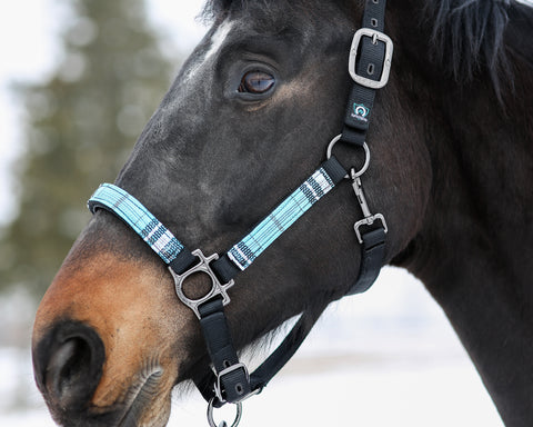 Kensington™ Premium Halter