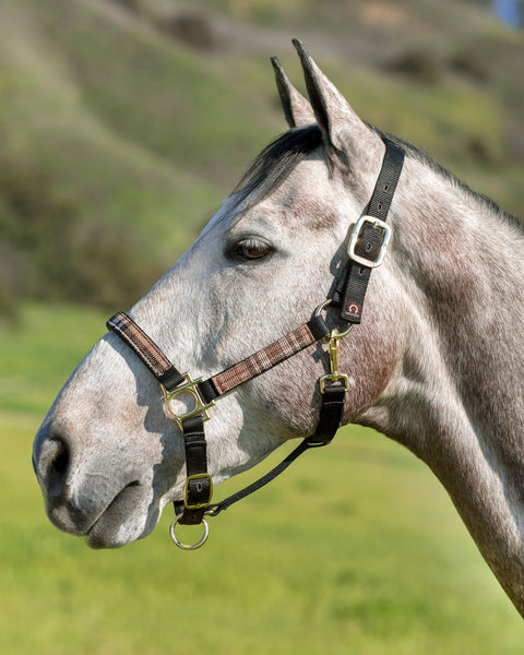 Kensington™ Premium Halter