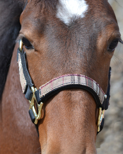 Kensington™ Premium Halter