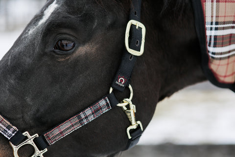 Kensington™ Premium Halter