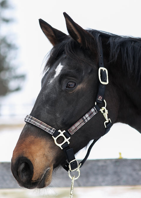 Kensington™ Premium Halter