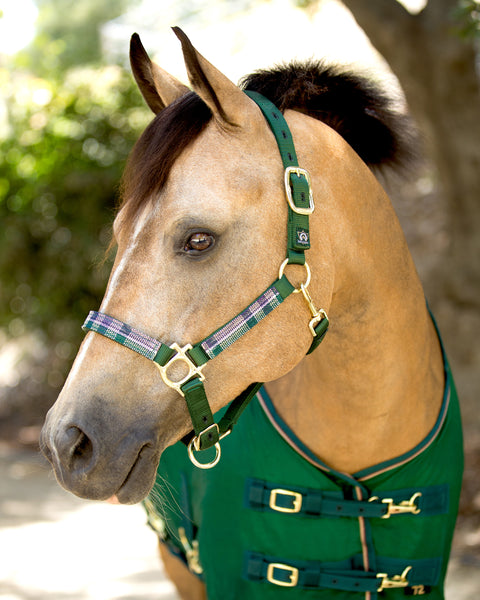 Kensington™ Premium Halter