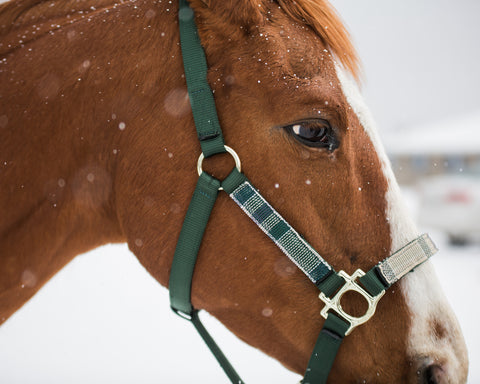 Kensington™ Premium Halter