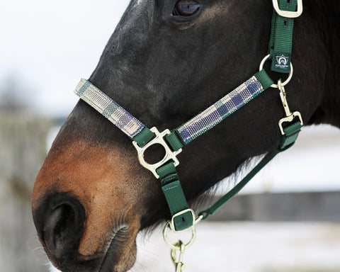 Kensington™ Premium Halter