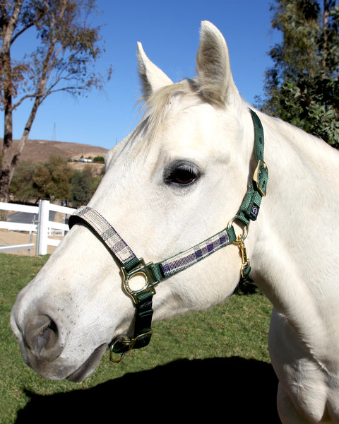 Kensington™ Premium Halter