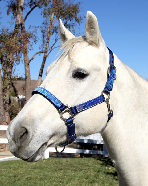 Kensington™ Premium Halter