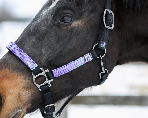 Kensington™ Premium Halter