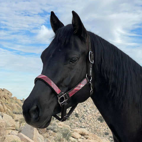 Kensington™ Premium Halter