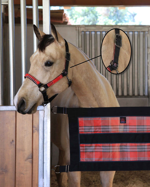 Kensington™ Premium Breakaway Halter