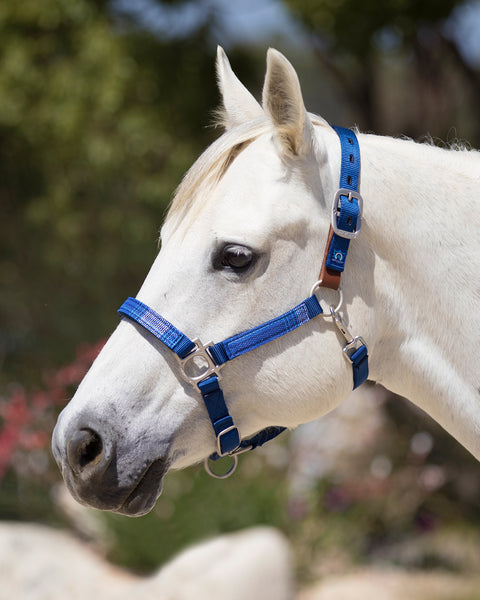 Kensington™ Premium Breakaway Halter
