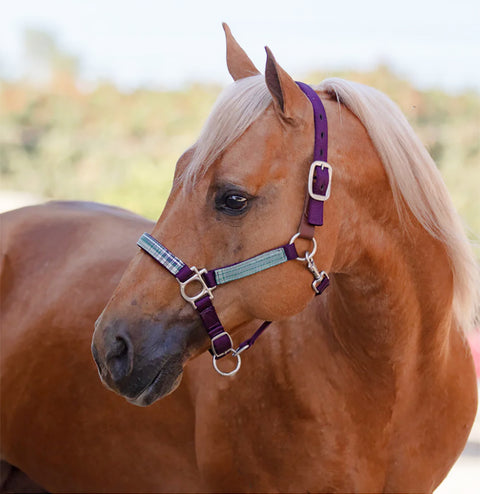 Kensington™ Premium Breakaway Halter