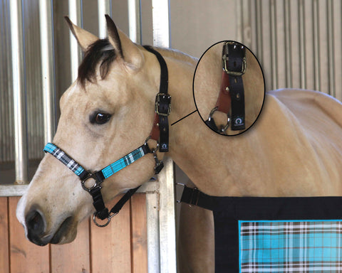 Kensington™ Premium Breakaway Halter
