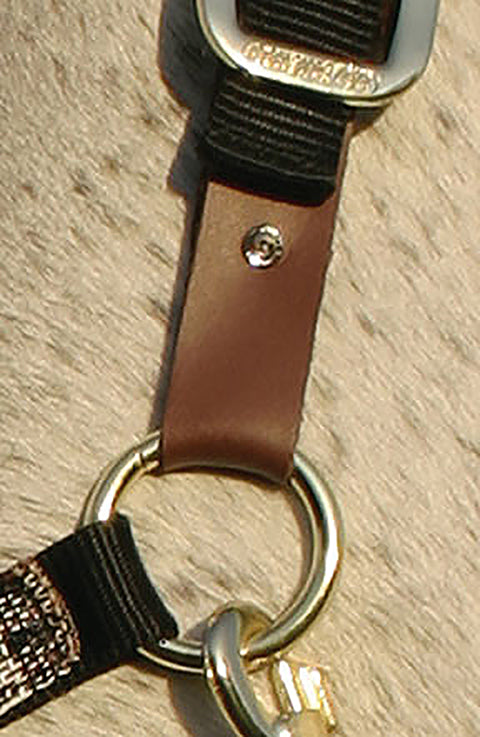 Kensington™ Premium Breakaway Halter