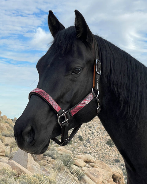 Kensington™ Premium Breakaway Halter