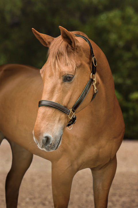 Suffolk™ Lined Halter