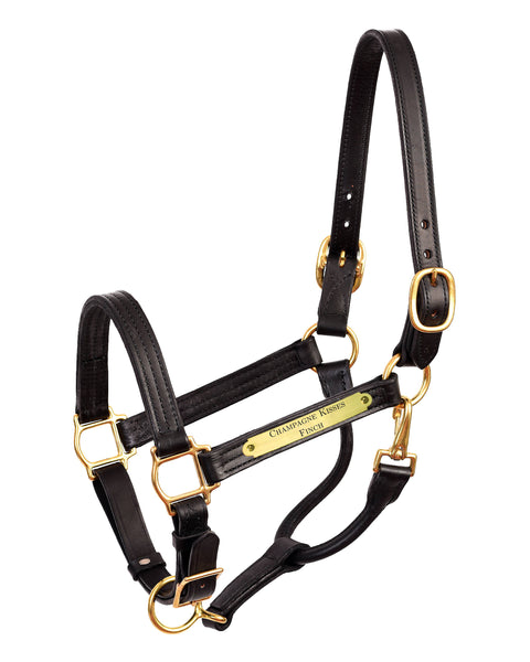 Perri’s® 1" XL Stallion Premium Leather Show Halter with Nameplate