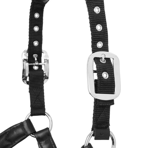 LeMieux® Capella Halter