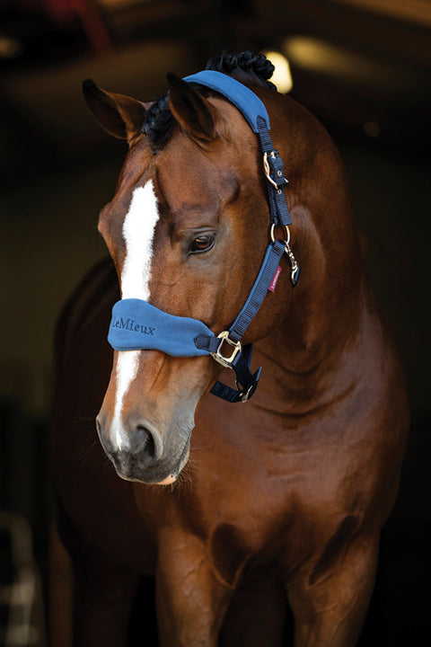 LeMieux® Vogue Halter & Lead Rope Set