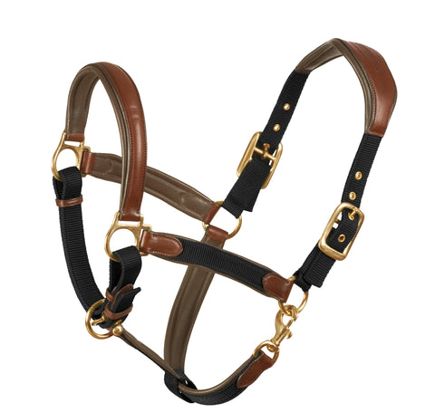 Ovation® Luxor Cushion-Flex Halter