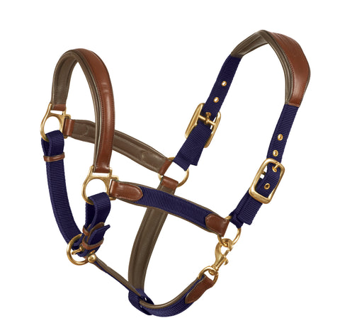 Ovation® Luxor Cushion-Flex Halter