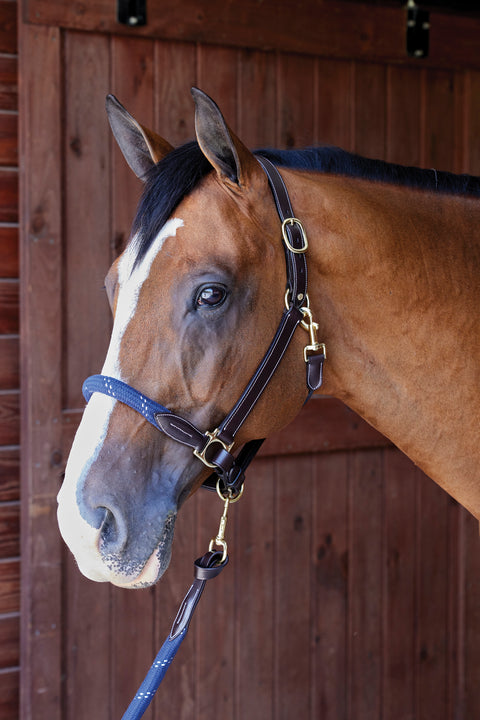 Suffolk™ Leather & Rope Halter with Lead