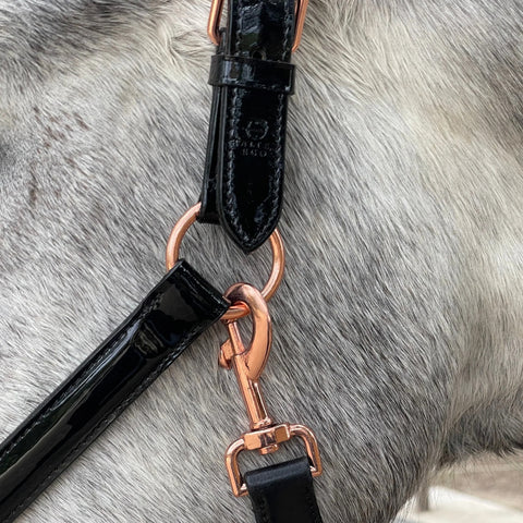 Halter Ego® Catalonia Halter
