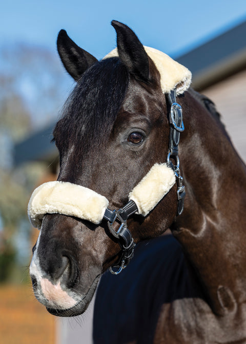 LeMieux® Simuwool 4-Piece Halter Set