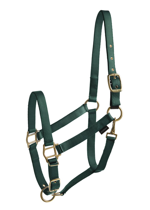 Suffolk™ Heavy Nylon Breakaway Halter with Fuse