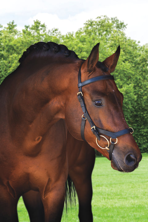 The Rambo® Micklem® Original Multibridle