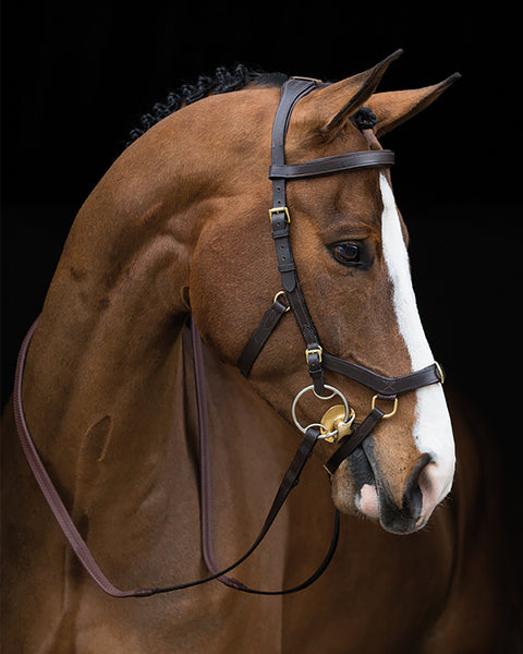 The Rambo® Micklem® Original Multibridle