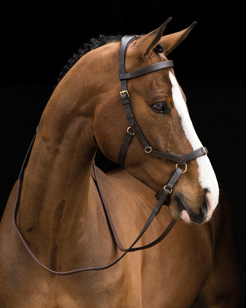 The Rambo® Micklem® Original Multibridle