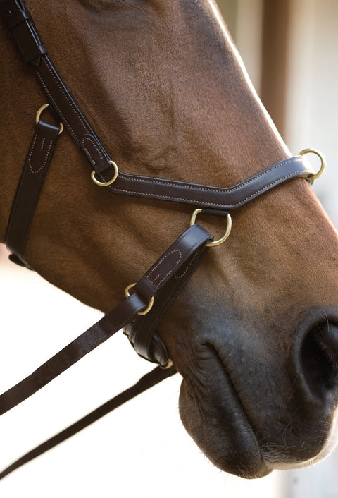 The Rambo® Micklem® Original Multibridle