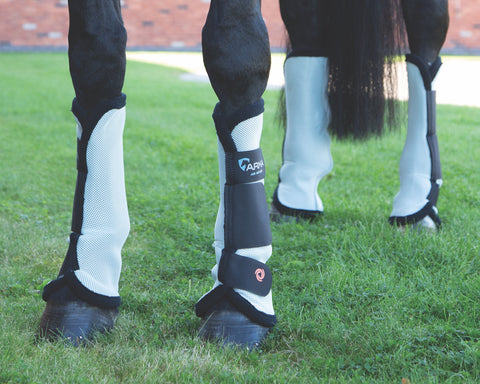 Shires ARMA Fly Turnout Socks