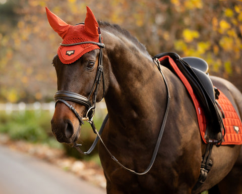 LeMieux® Loire Satin Fly Hood